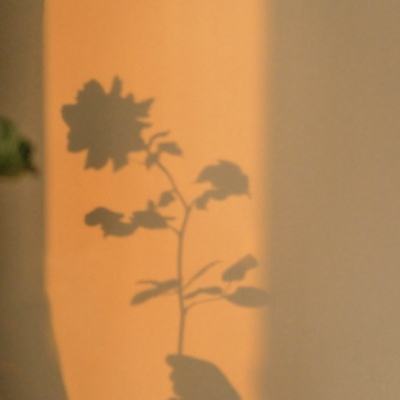鏖战沙城破解版下载