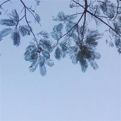 救救大叔破解版下载